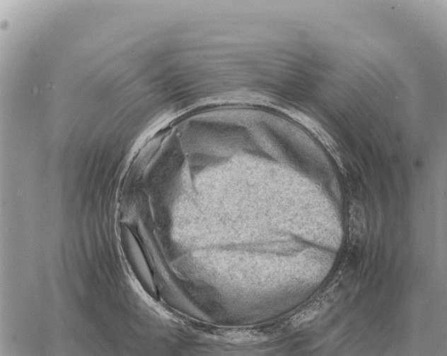 X0000061110998200512091812