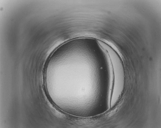 X0000061110999200512091812