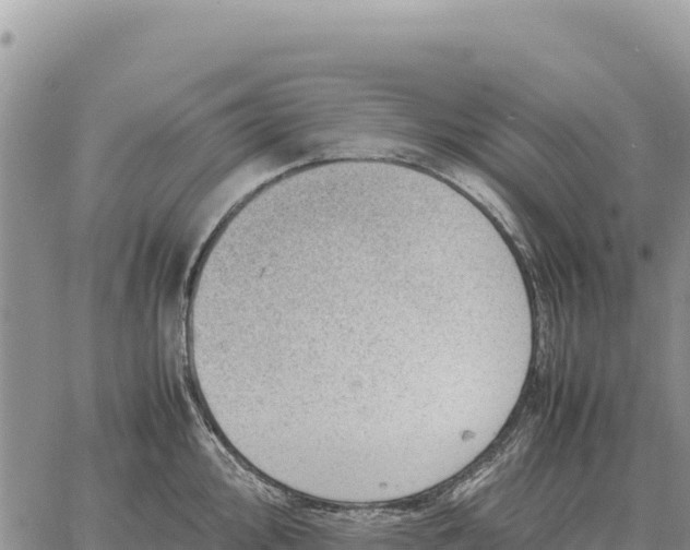 X0000061111000200512091812