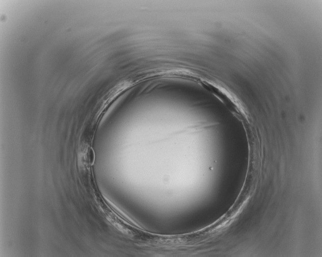 X0000061111001200512091812