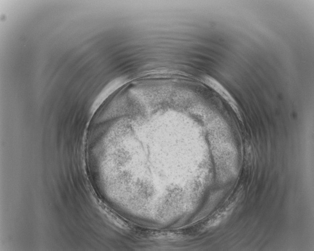 X0000061111002200512091812