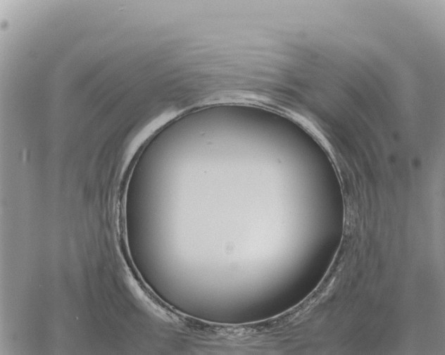 X0000061111003200512091812