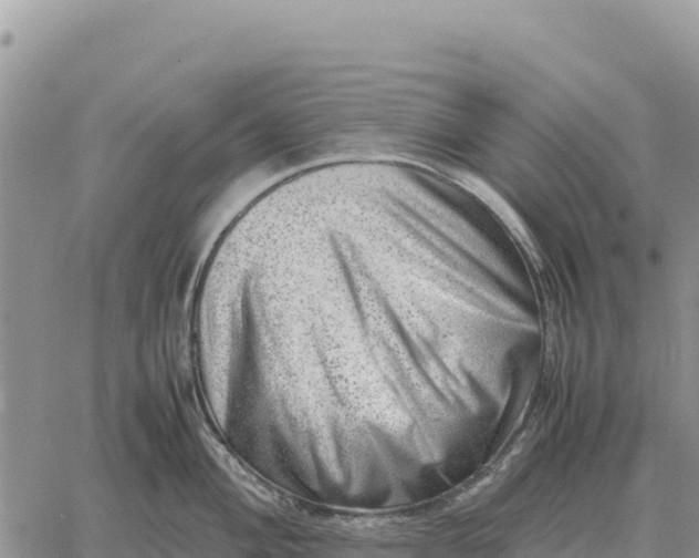 X0000061111004200512091812