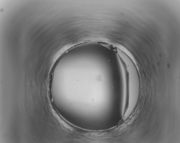 X0000061111005200512091812