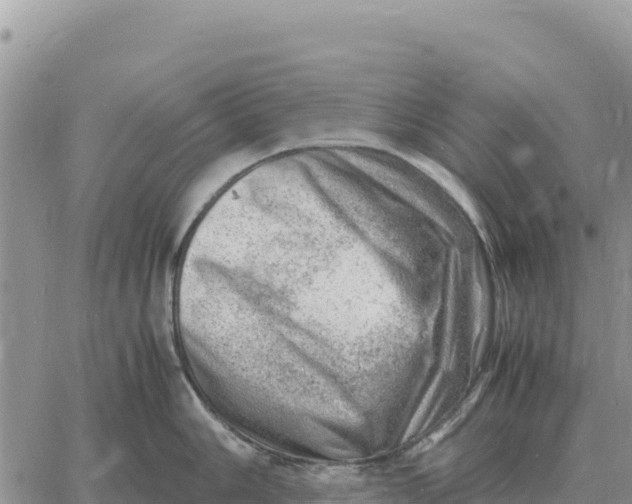 X0000061111006200512091812