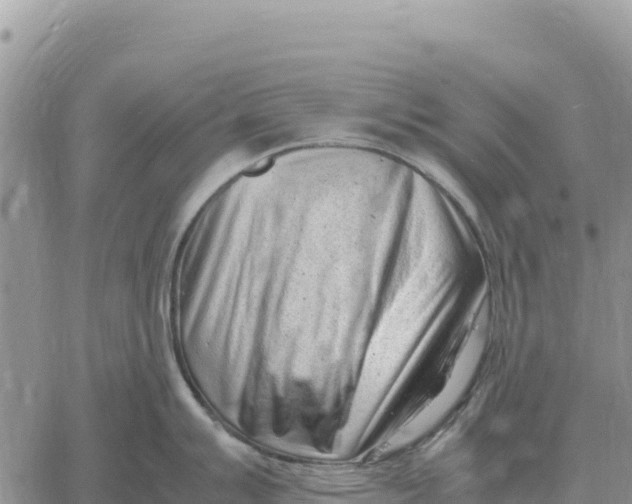 X0000061111007200512091812