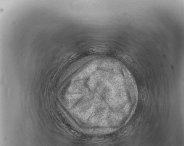 X0000061111009200512091811