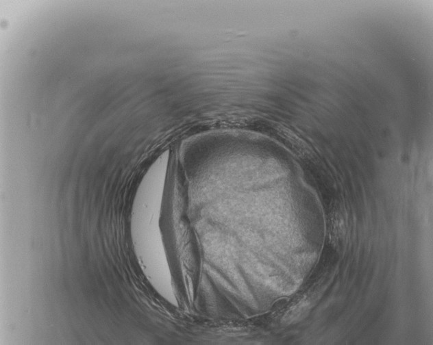 X0000061111010200512091811