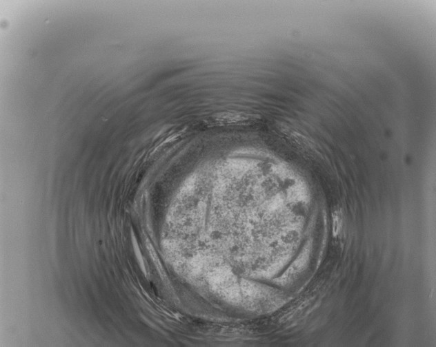 X0000061111011200512091811