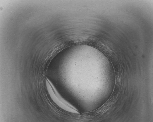 X0000061111012200512091811