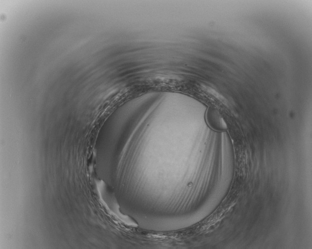 X0000061111013200512091811