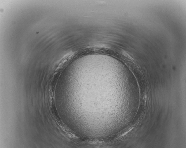 X0000061111014200512091811