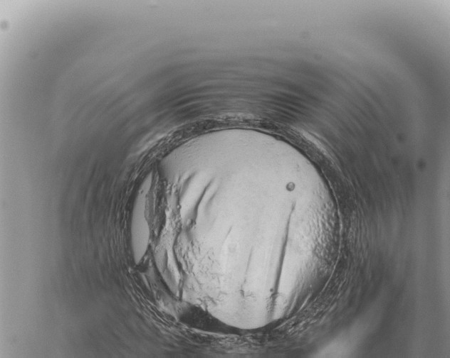 X0000061111015200512091811