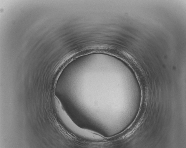 X0000061111017200512091812