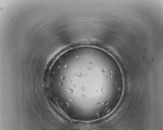 X0000061111018200512091812