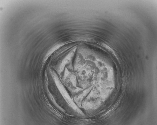 X0000061111019200512091812