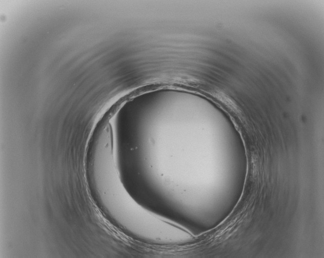 X0000061111020200512091812