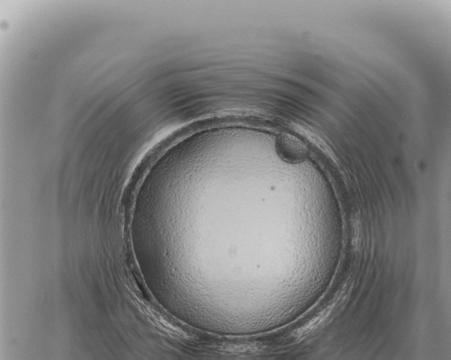 X0000061111021200512091812