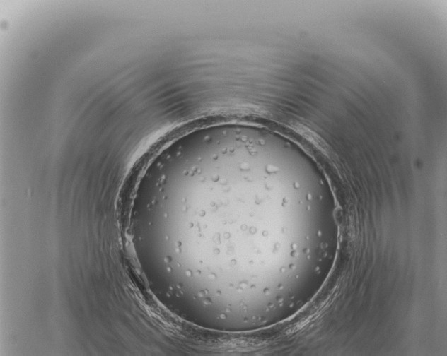 X0000061111022200512091812