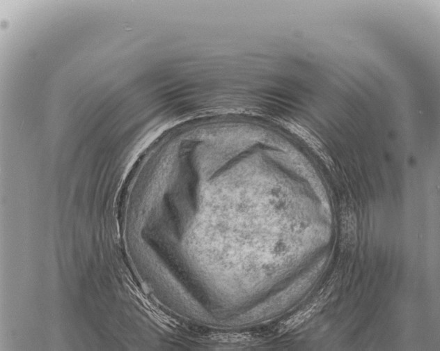 X0000061111023200512091812