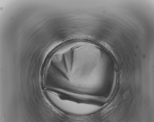 X0000061111024200512091812