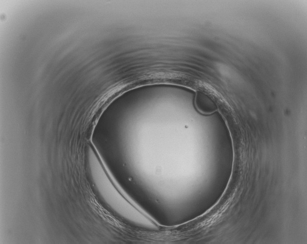 X0000061111025200512091812