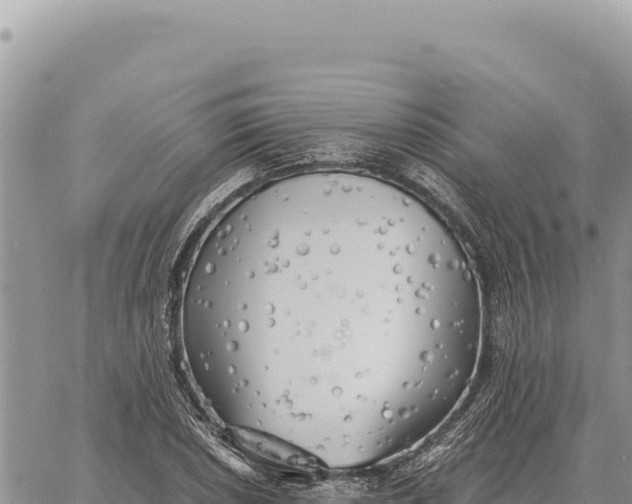 X0000061111026200512091812