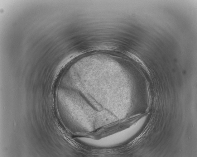 X0000061111027200512091812