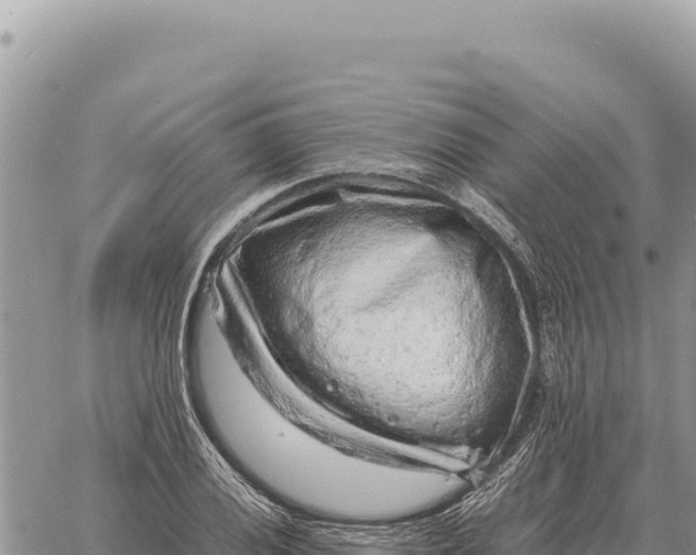 X0000061111028200512091812