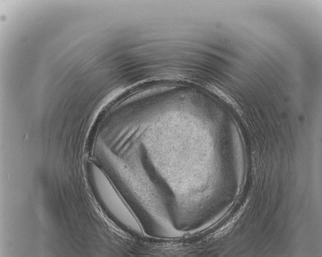 X0000061111029200512091812