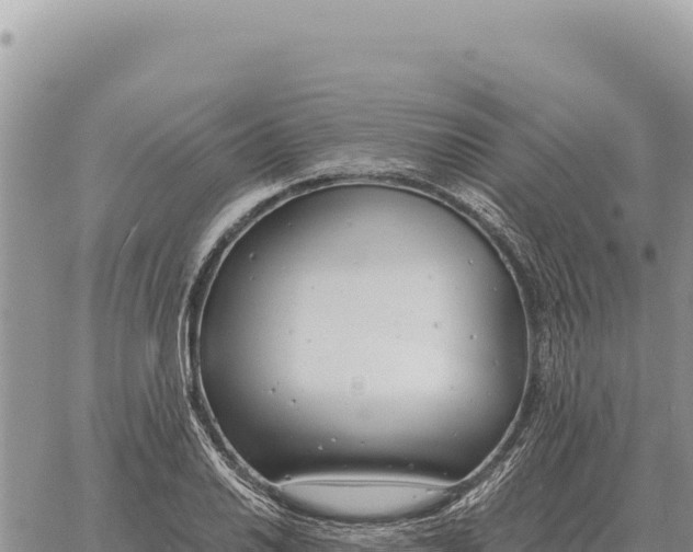 X0000061111030200512091812