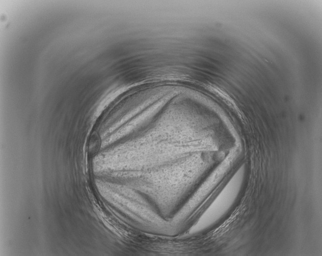 X0000061111031200512091812