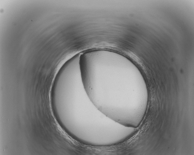 X0000061111032200512091812