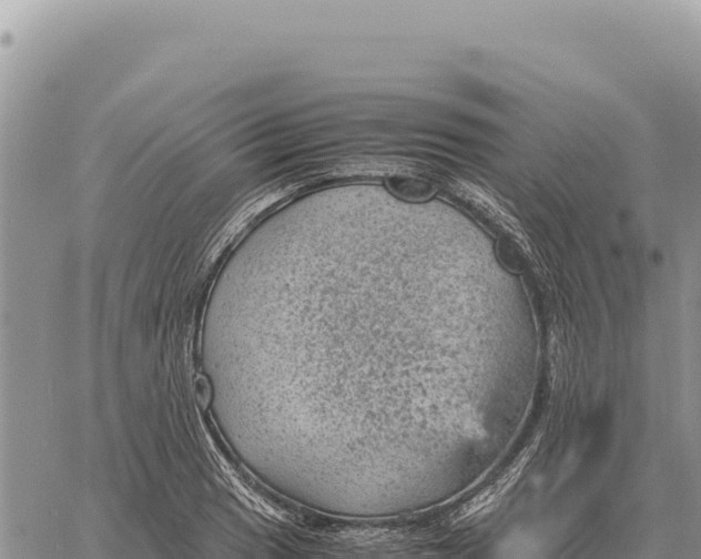 X0000061111033200512091812