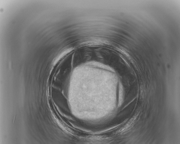 X0000061111034200512091812