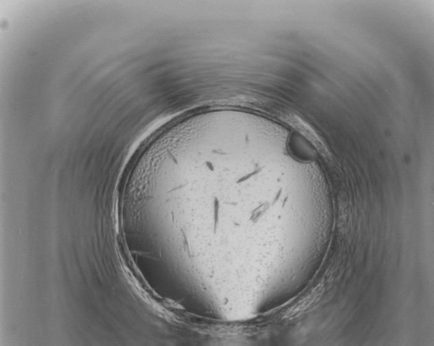 X0000061111036200512091812