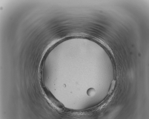 X0000061111037200512091812