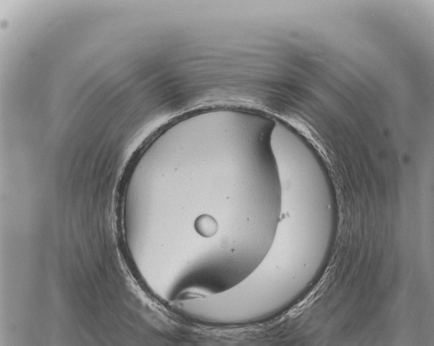 X0000061111038200512091812