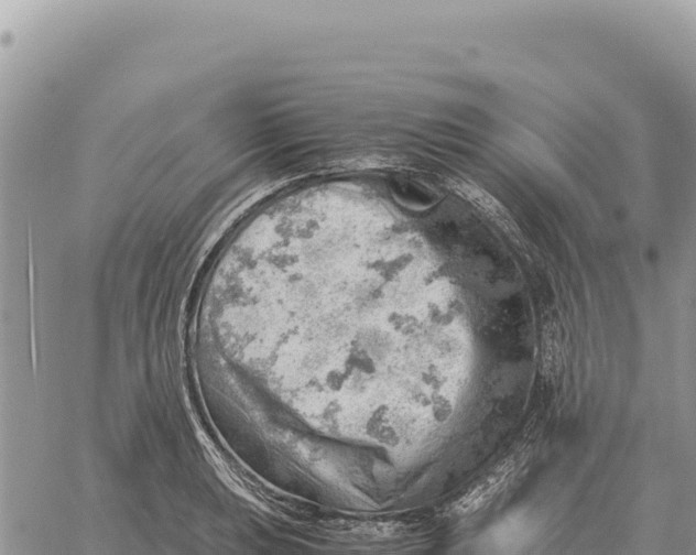 X0000061111039200512091812