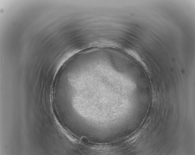 X0000061111040200512091812