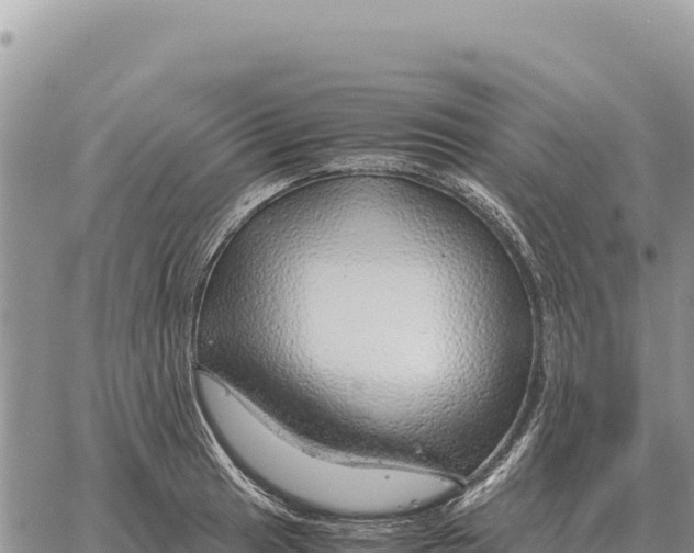 X0000061111041200512091812