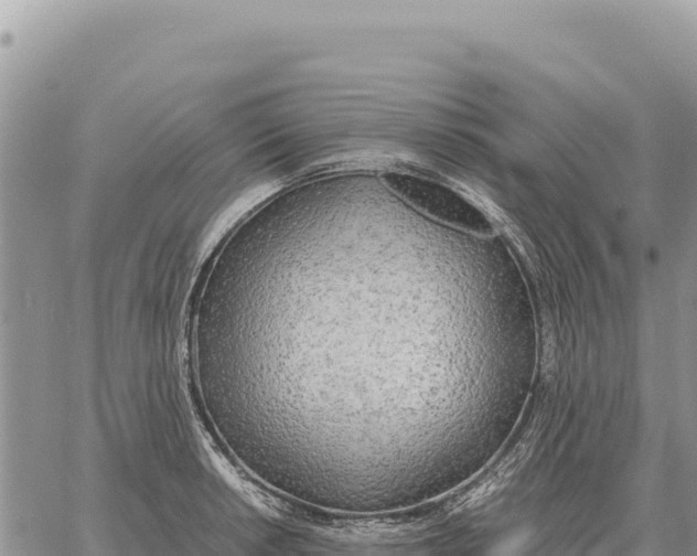 X0000061111042200512091812