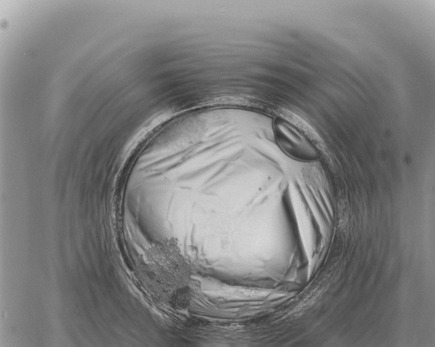 X0000061111043200512091812