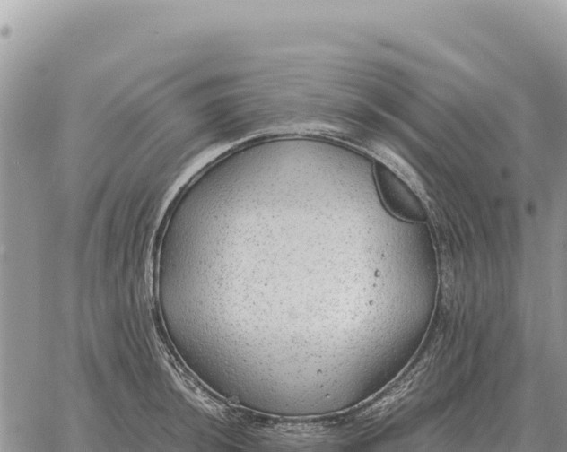 X0000061111044200512091812