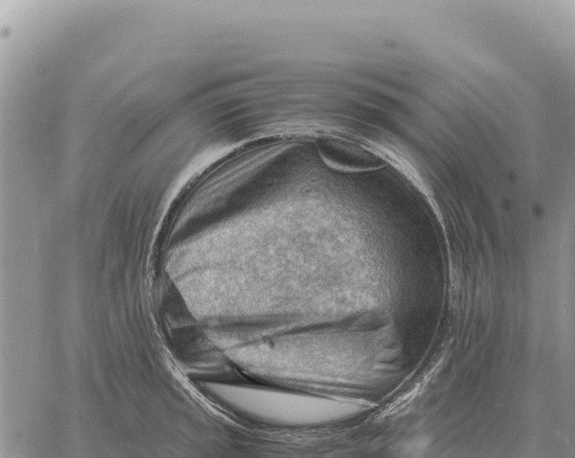 X0000061111045200512091812