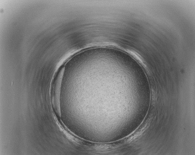 X0000061111046200512091812