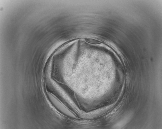 X0000061111048200512091812