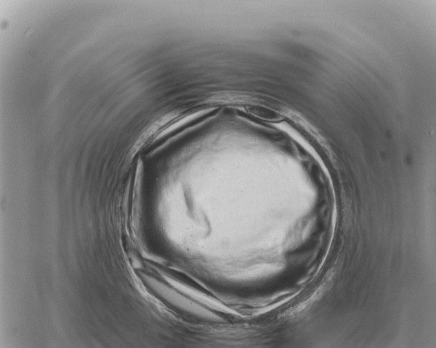 X0000061111049200512091812