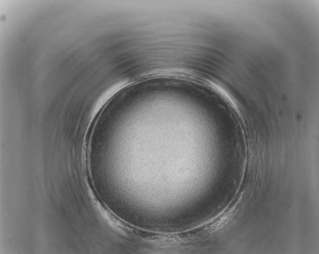 X0000061111050200512091812