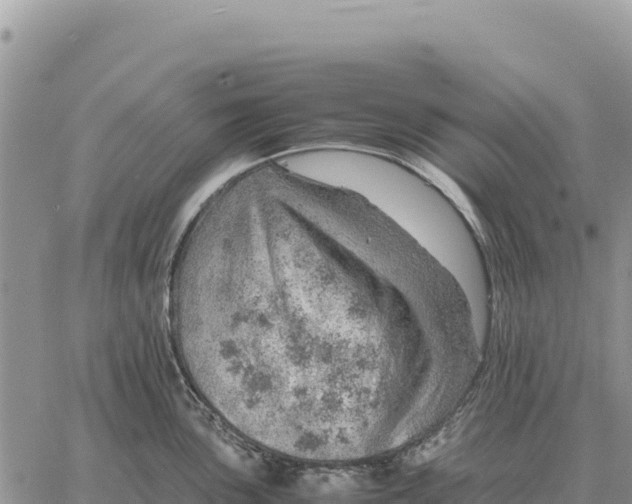 X0000061111051200512091812